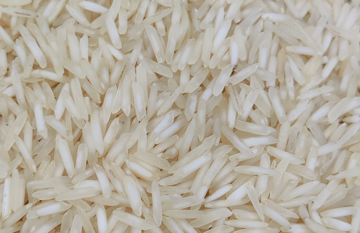 1509 Raw Basmati Rice